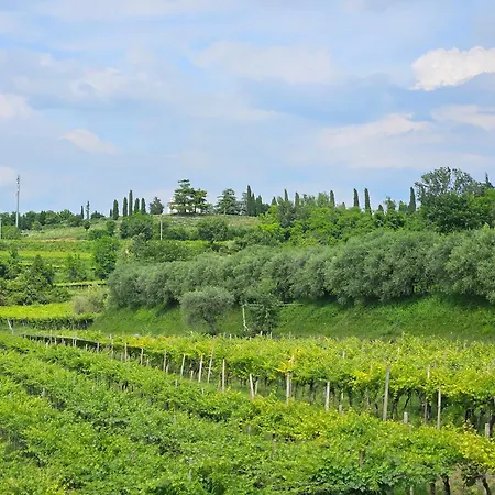 Lägenhet A Garda Dream Luxury Bussolengo